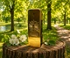 Парфюм Paco Rabanne 1 Million Parfum 100 мл мужские древесно-восточный аромат с туберозой кожей смолами и сосной густой шлейф и стойкость - изображение 2