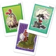 Настольная игра SD Games Kikiriki (испанская версия) (8435450254901) - изображение 4