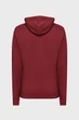 Чоловіче бордове худі TONAL ARCHIVE SHIELD Gant XXL 2037020 - изображение 8