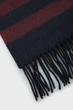 Чоловічий темно-синій шарф MERINO WOOL STRIPED WOVEN SCARF Gant OS 9920228 - зображення 3