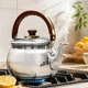 Чайник для плиты A-PLUS Tea Expert 2в1 встроенное сито для листового чая, 1.0 л из нержавеющей стали - изображение 2