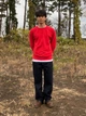Джемпер мужской UNIQLO 855333426 XL Красный (1159862189) - изображение 4
