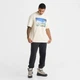Футболка The North Face Heavyweight Mountain Beige NF0A8GS0-100 S - зображення 5