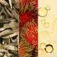 Регенерирующий крем для лица Grown Alchemist Regenerating Moisturizer Увлажняющий 60 мл (9340800011013) - изображение 4