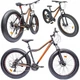 Shimano Fatbike Позашляховий Велосипед Широкі Шини 26 дюймів Амортизація Алюміній - изображение 1