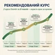 Диетическая добавка с клетчаткой для нормализации массы тела Oxantin "Абсорбция", 12 саше по 7,4 - изображение 7