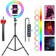 Кольцевая LED лампа RGB 33 см 25 Вт USB для фото и видео съемки MJ33 с держателем для телефона - изображение 1