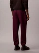 Спортивные штаны утепленные мужские Calvin Klein 190535581 M Фиолетовые (1159862012) - изображение 2