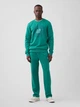Спортивный костюм утепленный мужской GAP 479272257 S Зеленый (1159862096) - изображение 3