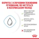 Заменитель молока для щенков с рождения Royal Canin Babydog Milk, 2 кг - изображение 4