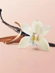 Cпрей Vanilla Orchid Sandalwood Victoria's Secret (26970164) - зображення 2
