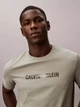 Футболка хлопковая длинная мужская Calvin Klein 4RB807G(Shadow) M Визон (199155980760) - изображение 5