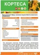 Насіння сонячника гібрид КОРТЕСА від компанії "КМК АГРО" - зображення 2