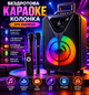 Беспроводная караоке-колонка с двумя микрофонами SPS ZQS15123 SPS sp10381 Черный sp10381 - изображение 1