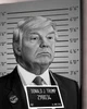 Стильна картина для офісу та кабінету «Картина з Дональдом Трампом» - 30х40 см - изображение 2