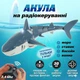 Радиоуправляемая акула Shark Z102 с подвижным хвостом, плавает на воде, пульте управлени 2,4 Ггц, радиус действия - 20 м, аккумулятор 3,7 V, голубая - изображение 1