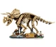 Конструктор LEGO Jurassic World Скам'янілості динозавра: трицератопс (77985) - изображение 2