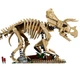 Конструктор LEGO Jurassic World Скам'янілості динозавра: трицератопс (77985) - изображение 4