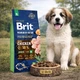 Сухой корм Brit Premium с курицей для щенков и молодых собак гигантских пород, 15 кг - изображение 2