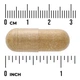Suplement diety Na tarczycę Swanson FS Chinese Scullcap 400 mg 90 kapsułek (0087614111285) - obraz 3