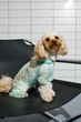 Костюм для собак сетка Dogs Bomba от клещей мятный D-255 8р - изображение 7