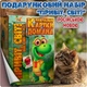 Подарочный набор карточек Домана «Привет, мир!», от 0 до 12 месяцев — развивающие карточки на русском языке, 152 карточек - изображение 1