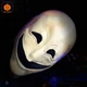 Маска карнавальна "Smile Face" біла гумова - зображення 1
