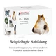 Кружка, фарфор 400 мл. Maxwell & Williams FELINE FRIENDS Cat In A Box - изображение 2