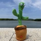 Плюшевая говорящая игрушка танцующий кактус с USB питанием и подсветкой - изображение 4