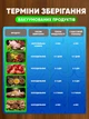 Вакуумний пакувальник вакууматор з на сосом 75 кПа + шланг VACUUMMACHINE побутовий аварат з різаком + 10 вакуумних пакетів - зображення 5