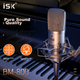 Микрофон конденсаторный ISK BM800, комплект со звуковой картой, для стриминга - изображение 4