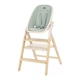 Детский стульчик для кормления 4в1 Carrello Ergo CRL-16701 Elora Green - изображение 2