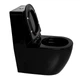 Унітаз-моноблок Ermin 67*37*84 black ( А0057118 ) - изображение 4
