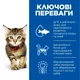 Hill's SCIENCE PLAN Kitten Сухой корм для котят и кошек в период беременности и лактации, с курицей, 3 кг - изображение 2
