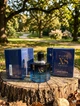Парфуми Paco Rabanne Pure XS 80 мл чоловічі фужерно-пряний аромат імбир ваніль шкіра білий кедр солодкий шлейф стійкість - зображення 2