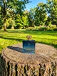 Парфюм Roja Elysium Pour Homme Cologne 100 мл мужские нишевые с цитрусами ветивером и ванилью восточно-древесный аромат - изображение 3