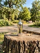 Парфюм Montale Vanilla Extasy 100 мл женские нишевый восточный гурманский аромат с ванилью иланг-илангом и бензоином шлейф - изображение 2