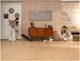 Акумуляторний миючий пилосос Tineco Floor One S5 Max White (FW480100DE) - зображення 9