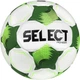 Мяч футбольный Select Pioneer TB FIFA Basic v26 005 №5 Бело-зеленый (5703543459438) - изображение 1