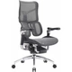 Офисное кресло Sihoo doro s300 Mesh Dark Grey (s300-m201) - изображение 1