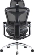 Кресло офисное Sihoo Doro c300 Pro Mesh Black (doro-c300-pro-m101) - изображение 1