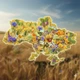 Травяной чай с васильками и календулой Ukrainian Symphony 50 г Pink Elephant - изображение 2