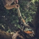 Універсальний сучкоріз 1.6 м Fiskars PowerGear ™ UPX82 1023625 - изображение 5