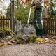 Граблі віялові для листя з дерев'яною ручкою Fiskars Classic (1001586) - изображение 3