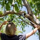 Сучкоріз площинний Fiskars PowerGearX ™ M LX94 112390 (1020187) - изображение 4