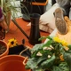 Лійка для поливу води Fiskars 1071307 - изображение 10
