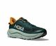 Кроссовки для бега HOKA ( 1168716 ) M CHALLENGER 8 2026 размер 43.5, BFSG - изображение 6