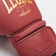 Боксерські рукавички Leone Mono Bord 10 ун. (3745_500240) - изображение 5