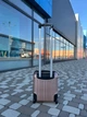 Валіза 40*30*20 Wings 2011 rose gold - зображення 3