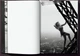 Tina Turner by Peter Lindbergh - Ервін Бах (9783754400142) - зображення 4